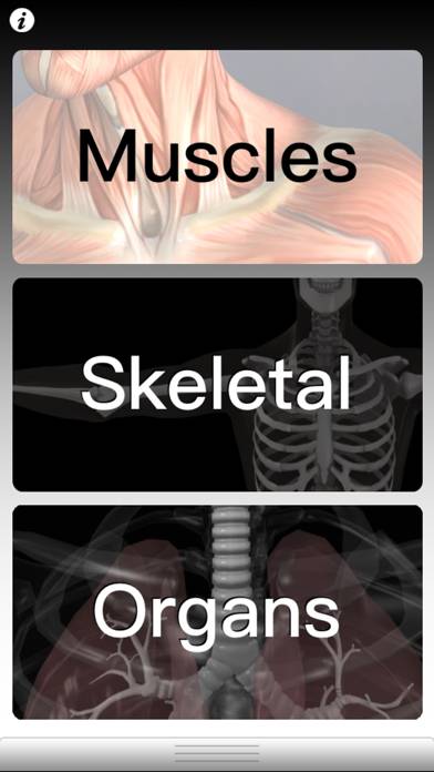 Anatomy Quiz Pro App skärmdump #1