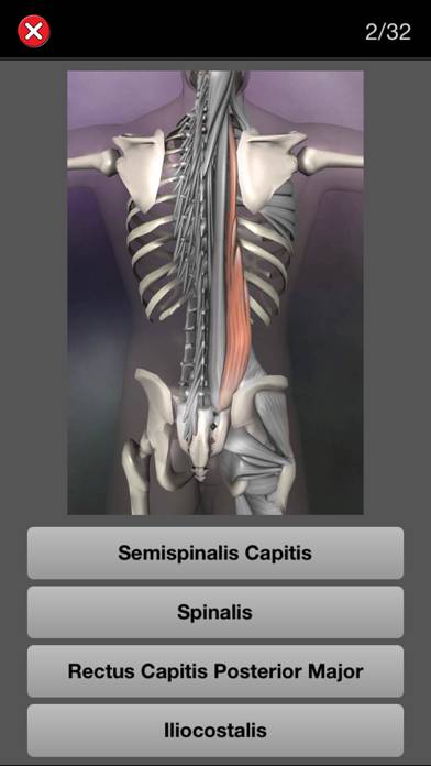 Anatomy Quiz Pro App skärmdump