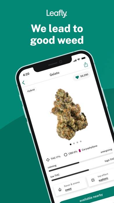 Leafly: Find Weed Near You App screenshot