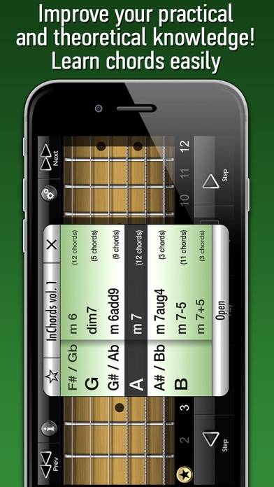 International Guitar Chords captura de pantalla