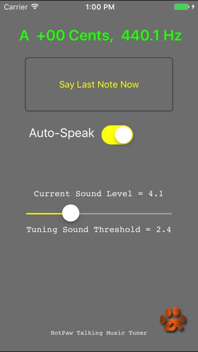Talking Tuner Schermata dell'app #1