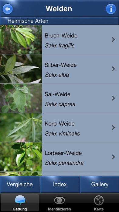 Baum Id Deutschland App-Screenshot