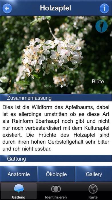 Baum Id Germany App screenshot #4