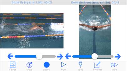 Swim Coach Plus HD App skärmdump #3