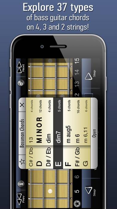 Bassman Chords Schermata dell'app #2