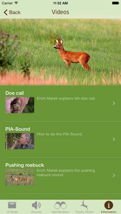 Roebuck Hunt Captura de pantalla de la aplicación #4
