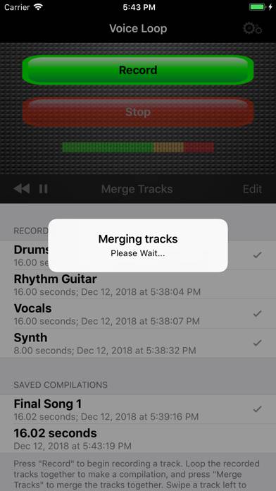 Voice Loop App-Screenshot #3
