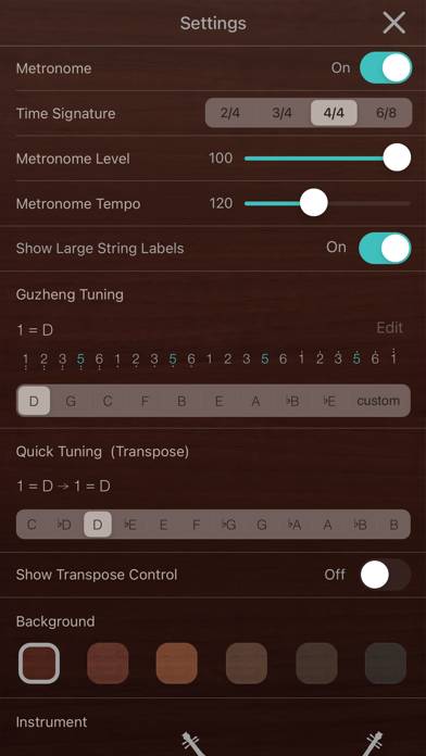 IGuzheng⁺ Schermata dell'app #6