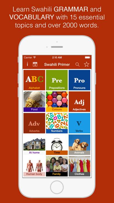 Swahili Primer App screenshot #1