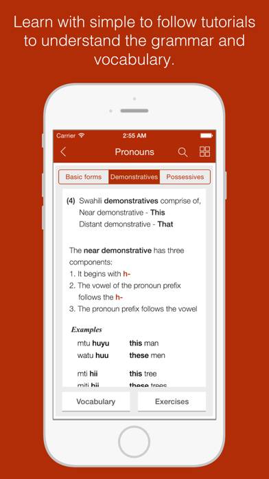 Swahili Primer App screenshot #2