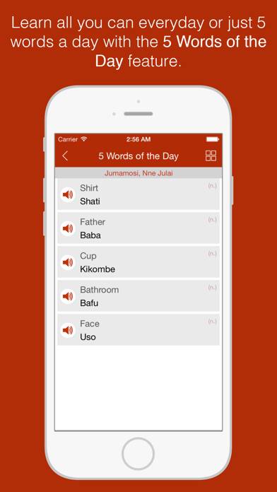 Swahili Primer App screenshot #3