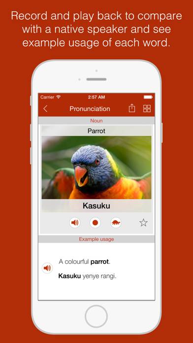 Swahili Primer Captura de pantalla de la aplicación #4