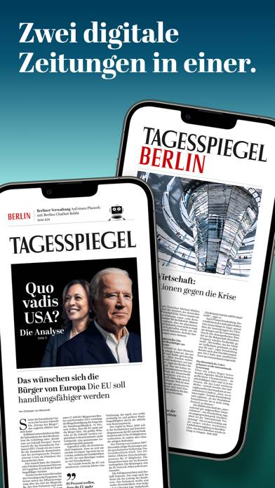 Tagesspiegel App-Screenshot #5