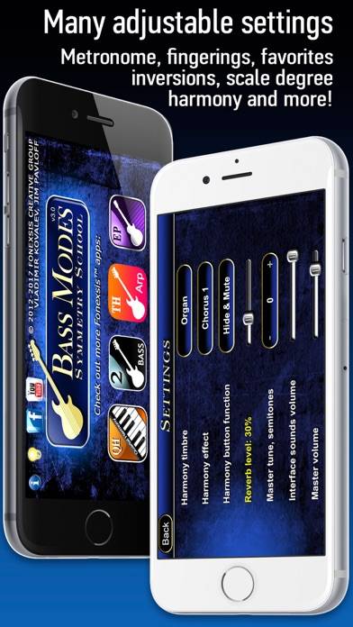 Bass Modes Symmetry School App screenshot #4