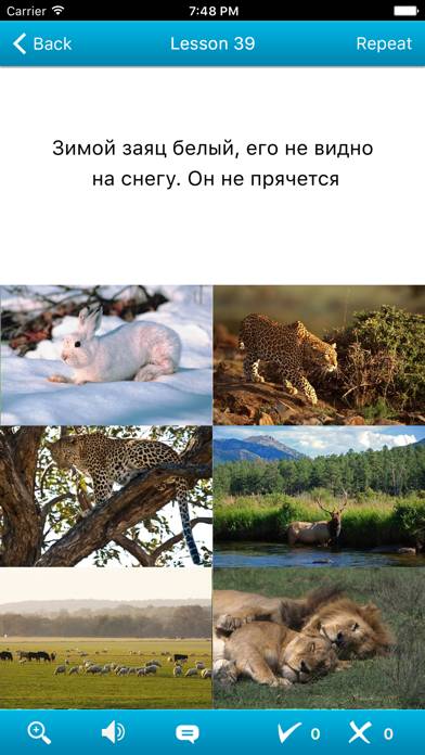 Russian in a month Schermata dell'app #3