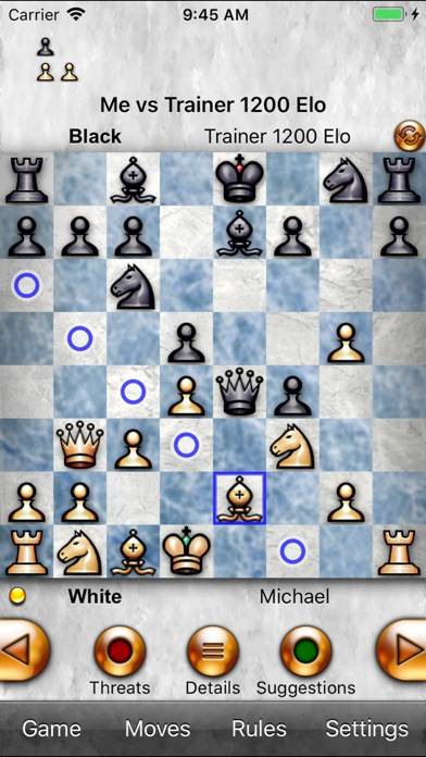 Chess Tiger Lite game screenshot