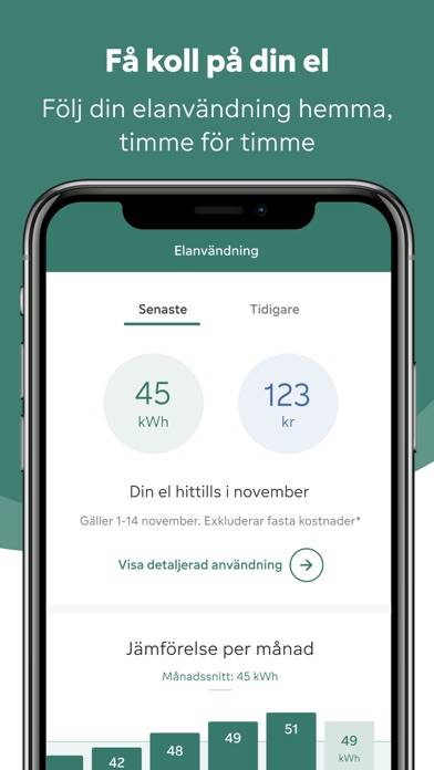 Mitt Fortum Sverige App skärmdump #4
