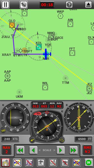Radio Navigation Simulator IFR Captura de pantalla de la aplicación #4