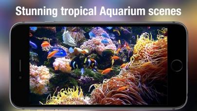 Aquarium Live HD plus App screenshot #2
