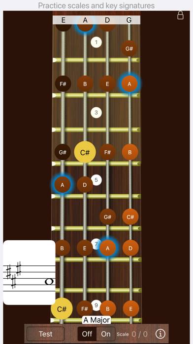 Bass Sight Reading Trainer Capture d'écran de l'application #1