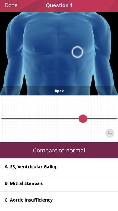 Heart Murmurs Pro Uygulama ekran görüntüsü #4