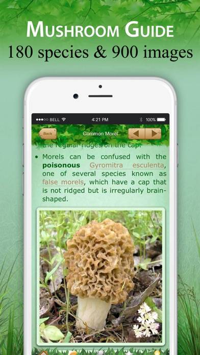 Mushroom Book & Identification Скриншот приложения #2