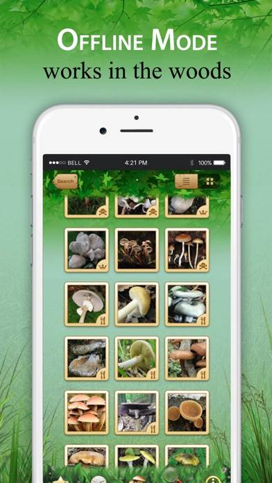 Mushroom Book & Identification Скриншот приложения #4