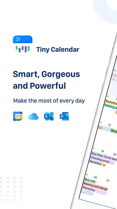 Tiny Calendar Pro Capture d'écran de l'application #1