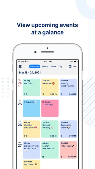 Tiny Calendar Pro Schermata dell'app #3