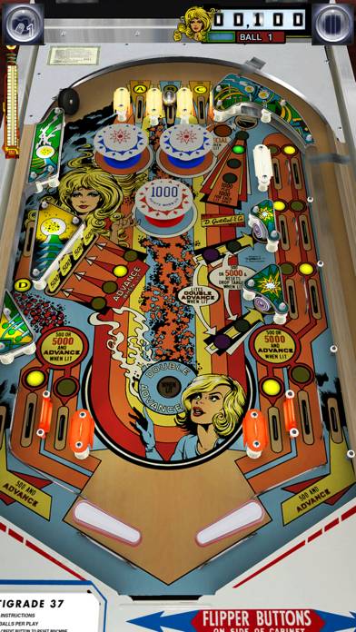 Pinball Arcade Plus Скриншот приложения #2