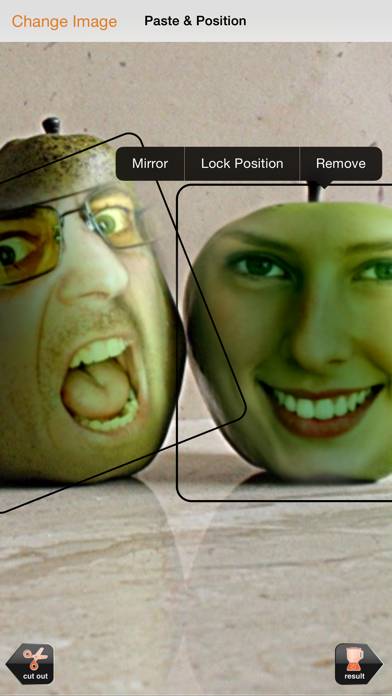 Friend Blender – Swap Faces Captura de pantalla de la aplicación #2