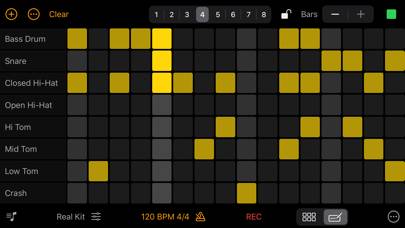 Rhythm Pad Pro App screenshot #2