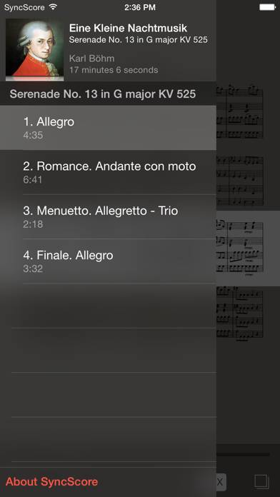 Mozart Eine kleine Nachtmusik App screenshot #3