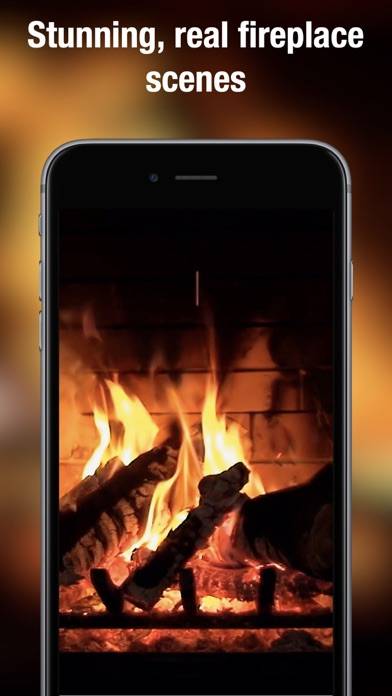 Fireplace Live HD pro screenshot #2