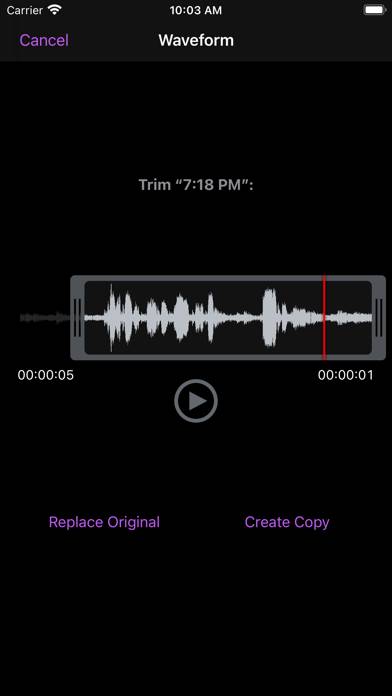 You Record Pro App screenshot #4