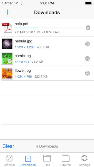 Downloads App screenshot #3