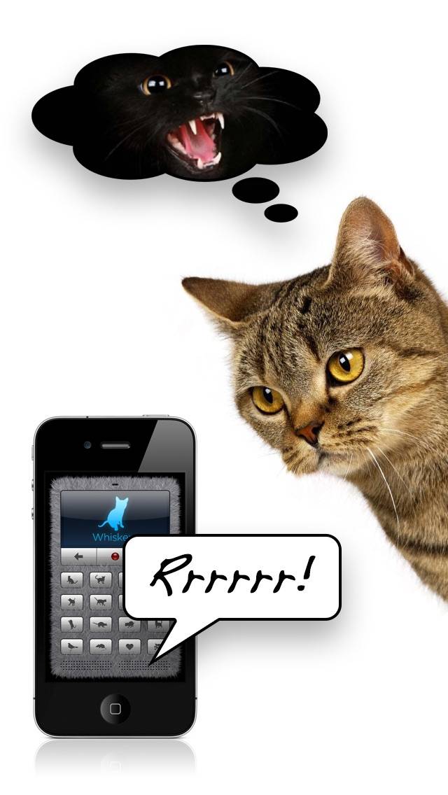 Human-to-Cat Translator Deluxe Captura de pantalla de la aplicación #2