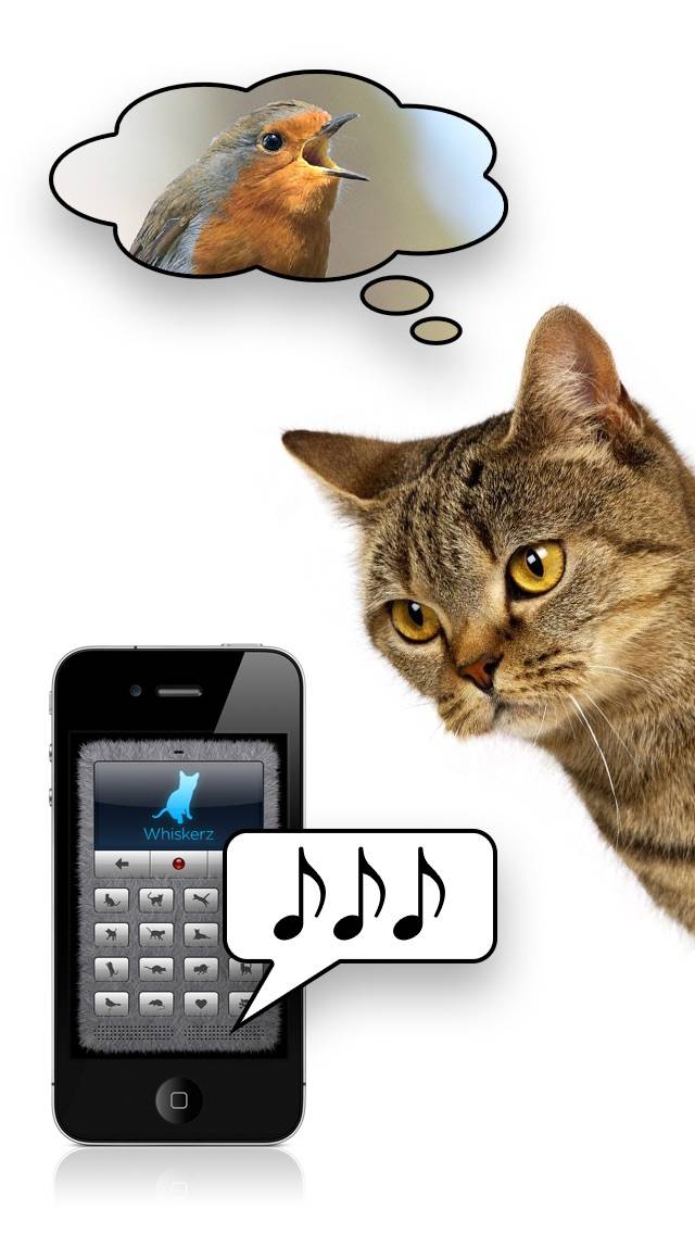 Human-to-Cat Translator Deluxe Captura de pantalla de la aplicación #3