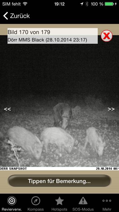Wild und Hund Revierwelt App-Screenshot