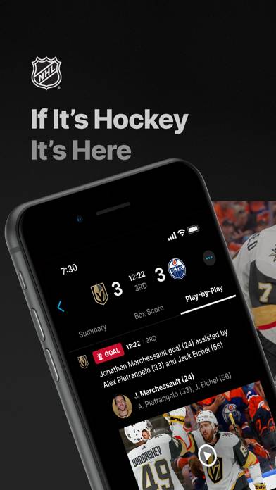 NHL Bildschirmfoto