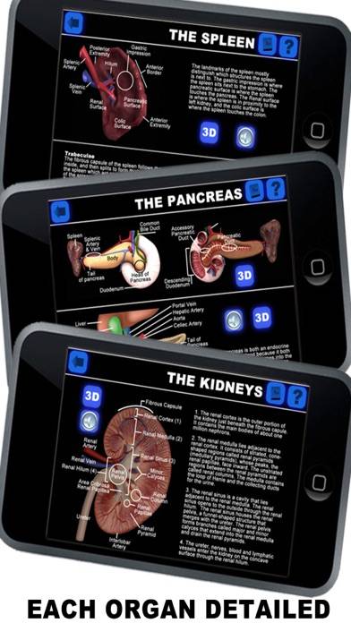 Anatomy 3D Schermata dell'app #1