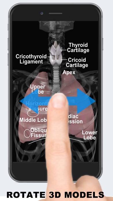 Anatomy 3D Uygulama ekran görüntüsü #2