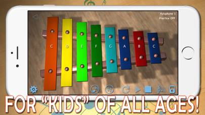 i-XyloPhone Fun - PRO Version captura de pantalla