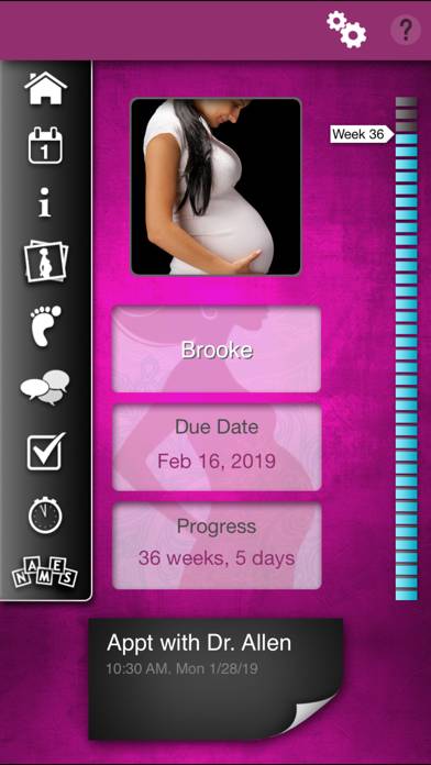 IPregnant Pregnancy Tracker App screenshot #1