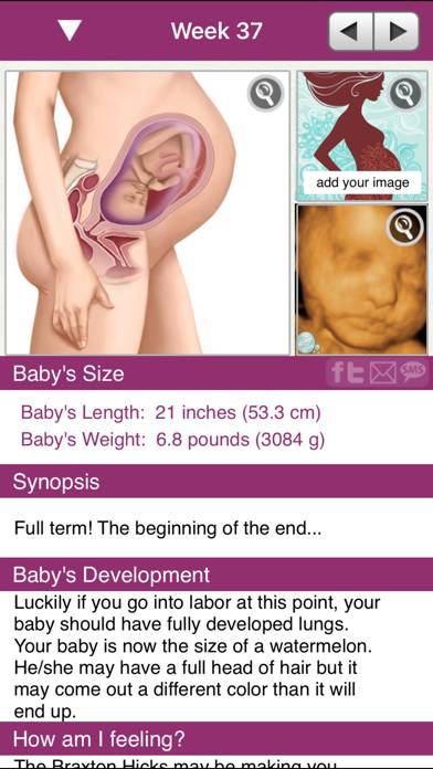IPregnant Pregnancy Tracker App screenshot #2