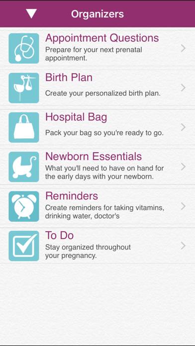 IPregnant Pregnancy Tracker Schermata dell'app #3