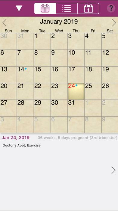 IPregnant Pregnancy Tracker Schermata dell'app #4