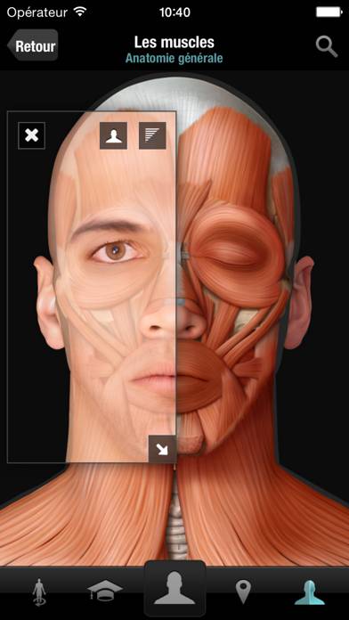 Corps humain virtuel Capture d'écran de l'application #2