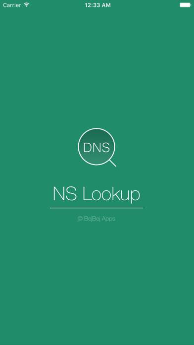 NSLookup Plus Capture d'écran de l'application