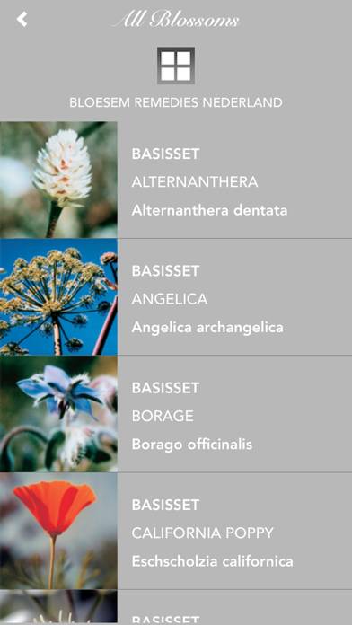 FlowerEssences Schermata dell'app